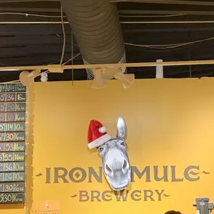 Festive mule