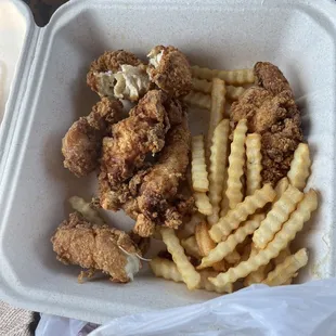 Simple chicken tenders and fries