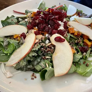Harvester Salad