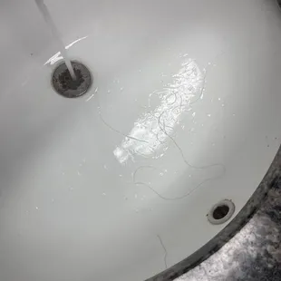 Hair in the sink