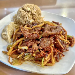 Szechuan Beef Lunch Special