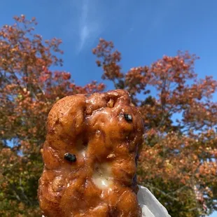 Apple fritter
