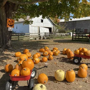a wagon full of pumpkins