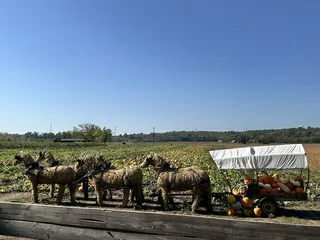 Brown's Family Farm Market