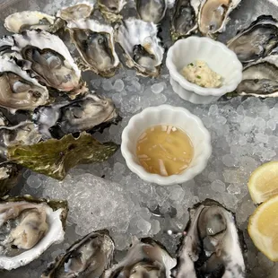 Raw Oysters