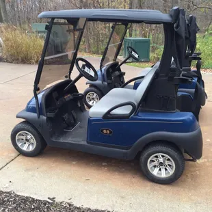 Carts with GPS and rain covers