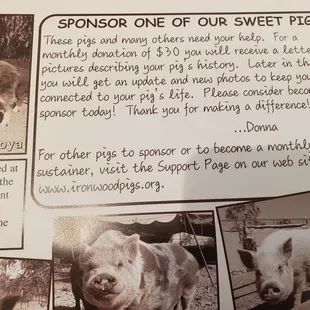 Yay how amazing! Sponsoring!!!