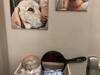 Dove Mountain Veterinary