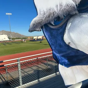 Ironwood Ridge High School