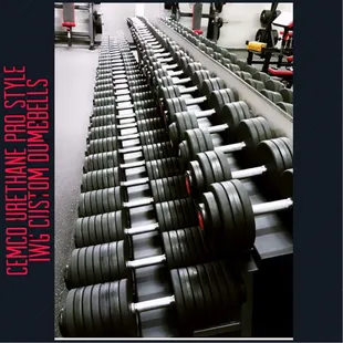 PRO STYLE DB #5 - #150