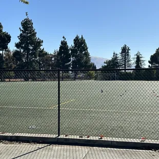 Soccer/Football Field