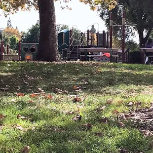 Nice day at the park!