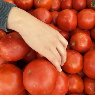 Tomatoes