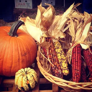 More local items on display/for sale.