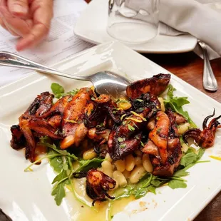 Octopus