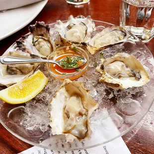 Oysters