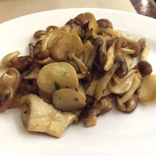 Local Mushrooms