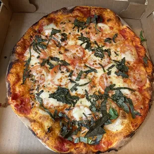 Pizza Margherita Pizza