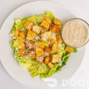 Cesar Salad