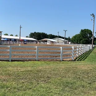 Horse speed course