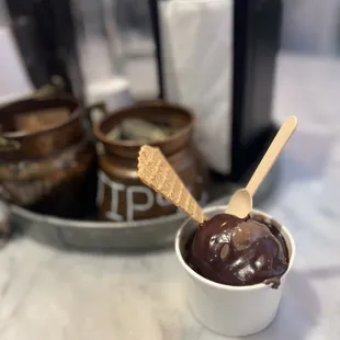 single scoop of seriously dark chocolate, with homemade mint choco fudge