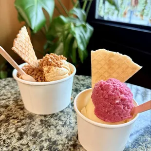 Salted Caramel and Cranberry Sorbet