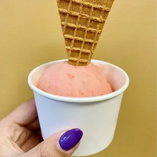 Strawberry Sorbet