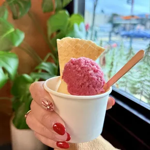 Cranberry Sorbet and Tangerine Sorbet