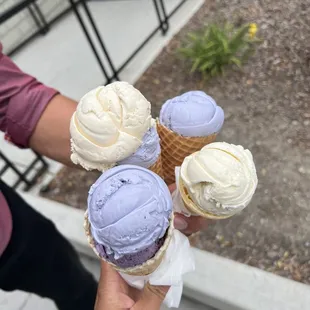 All of us got honey lavender