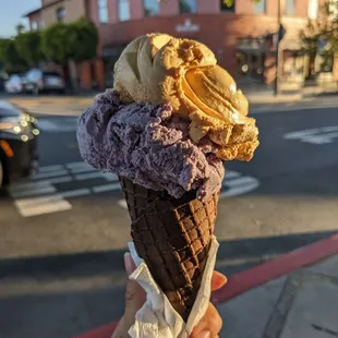 Single of blueberry and creme brulee in a chocolate cone