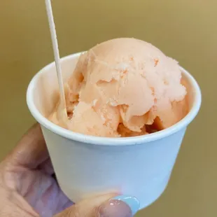 Pink Grapefruit Sorbet (Baby Scoop of Ice Cream)