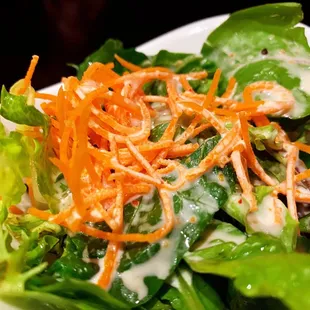 a salad with carrots and lettuce
