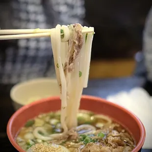 Niku Udon