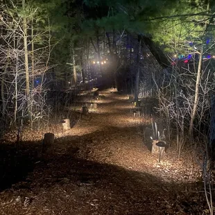 Path to beach