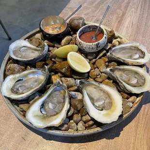 Oysters