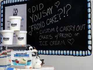 Igloo Frozen Yogurt And Treats