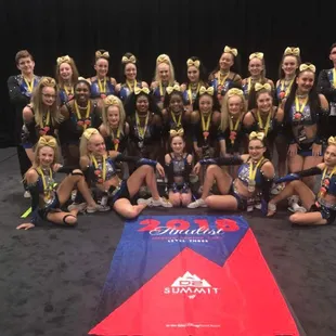 2018 D2 Summit Finalist