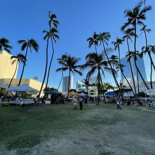 palm trees in the foreground