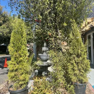 a fountain surrounded by trees