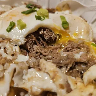 Kalua Pork Loco Moco