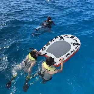 swimming w turtles!!