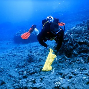 reef cleanup