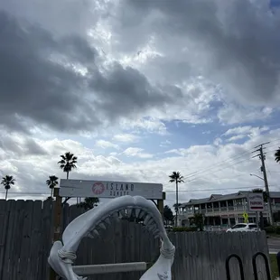 a white plastic shark mouth on a wooden bench