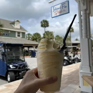 a hand holding a cup of ice cream