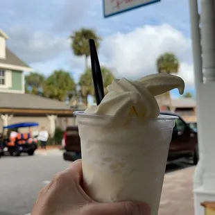 a hand holding a cup of ice cream