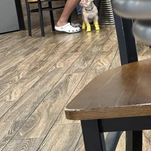 Frenchie