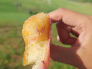 Island Glazed