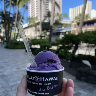 a hand holding a cup of black hawaiian ice cream