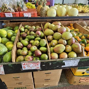 Papayas, mangos, and more