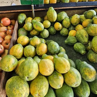 Great price for papaya... 79 cents a pound!